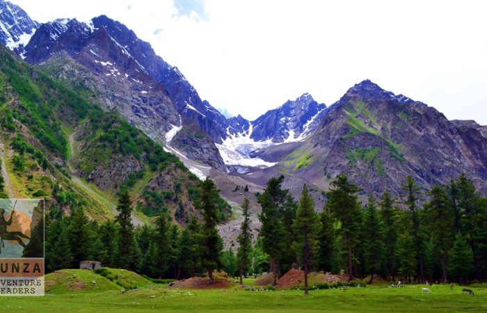 Naltr Pakora Trek